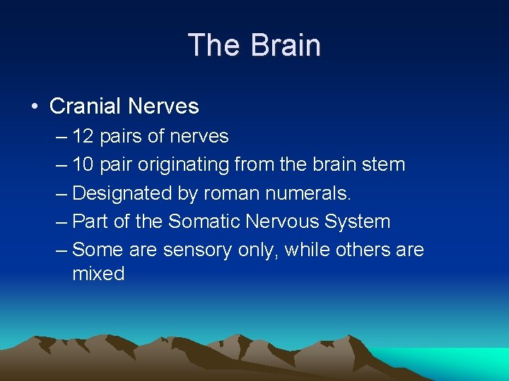 The Brain • Cranial Nerves – 12 pairs of nerves – 10 pair originating