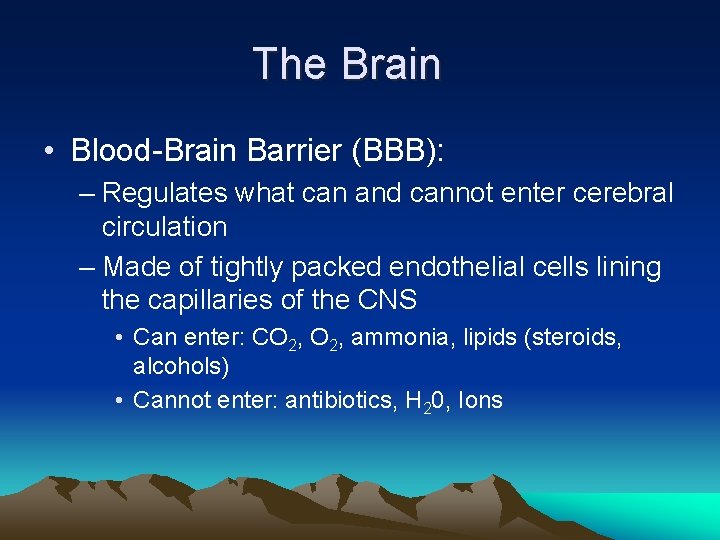 The Brain • Blood-Brain Barrier (BBB): – Regulates what can and cannot enter cerebral