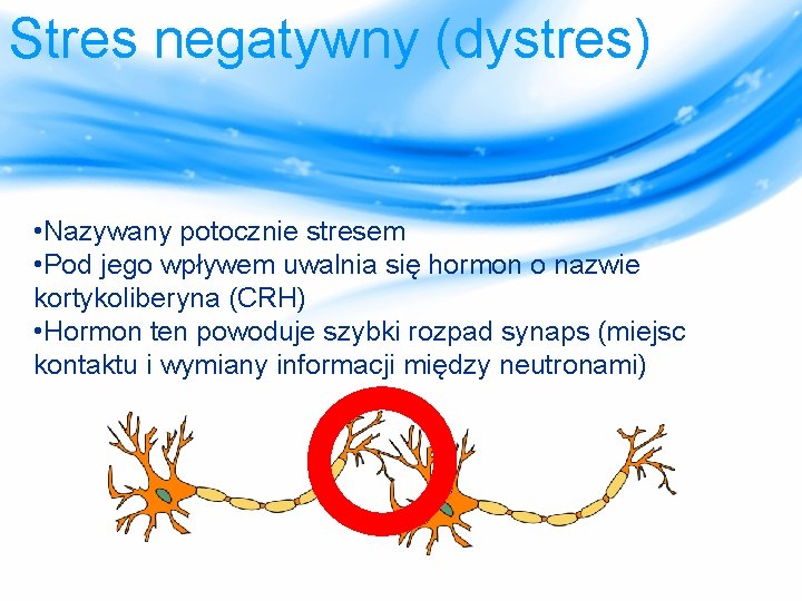 Stres negatywny (dystres) • Nazywany potocznie stresem • Pod jego wpływem uwalnia się hormon