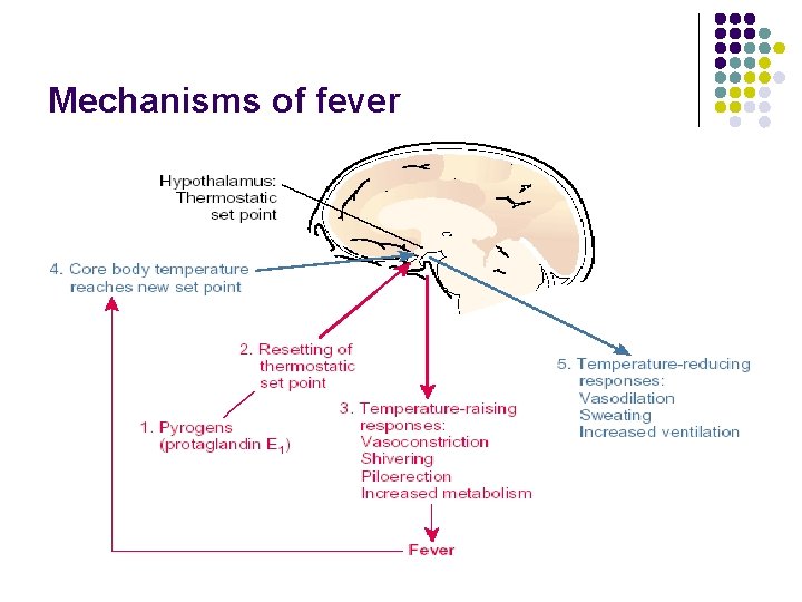 Mechanisms of fever 