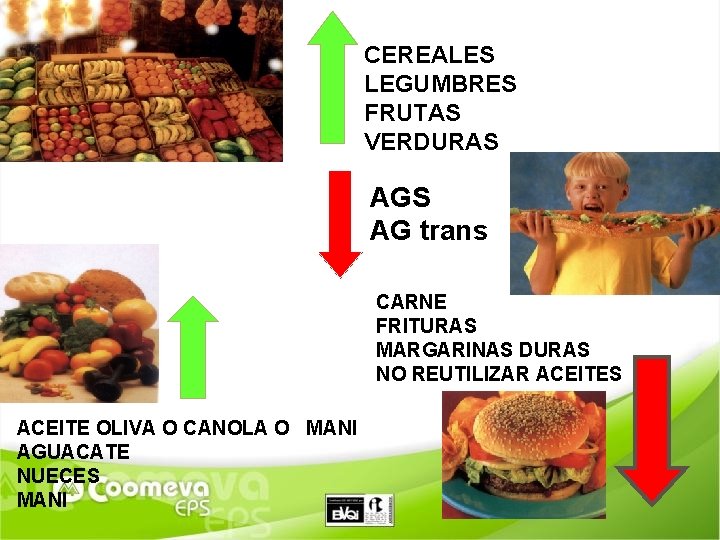 CEREALES LEGUMBRES FRUTAS VERDURAS AG trans CARNE FRITURAS MARGARINAS DURAS NO REUTILIZAR ACEITES ACEITE
