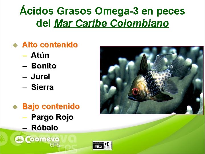 Ácidos Grasos Omega-3 en peces del Mar Caribe Colombiano Alto contenido – Atún –