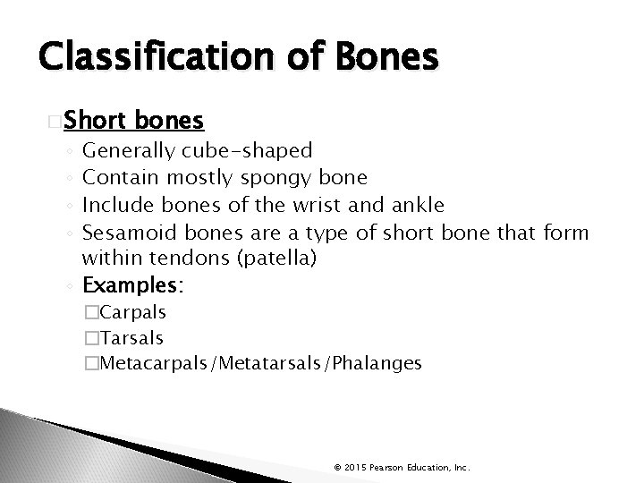 Classification of Bones � Short bones Generally cube-shaped Contain mostly spongy bone Include bones