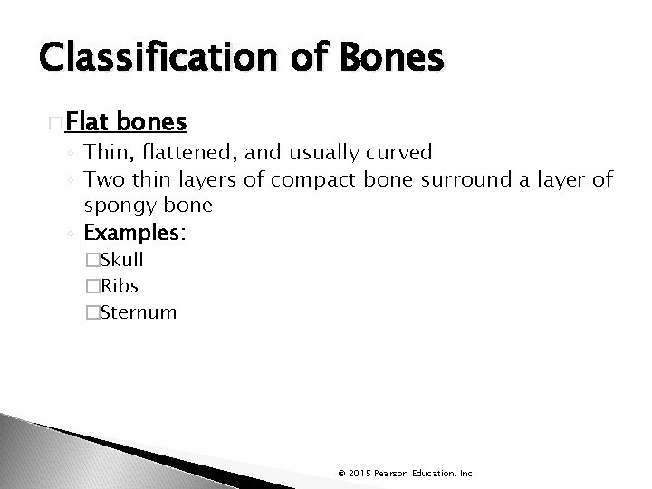 Classification of Bones � Flat bones ◦ Thin, flattened, and usually curved ◦ Two