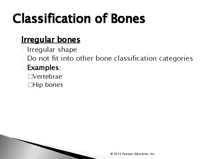 Classification of Bones � Irregular bones ◦ Irregular shape ◦ Do not fit into