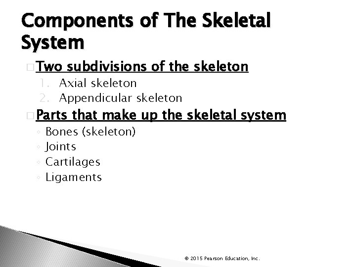 Components of The Skeletal System � Two subdivisions of the skeleton 1. Axial skeleton