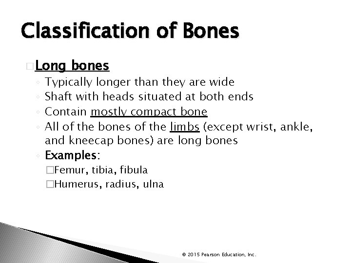 Classification of Bones � Long bones Typically longer than they are wide Shaft with