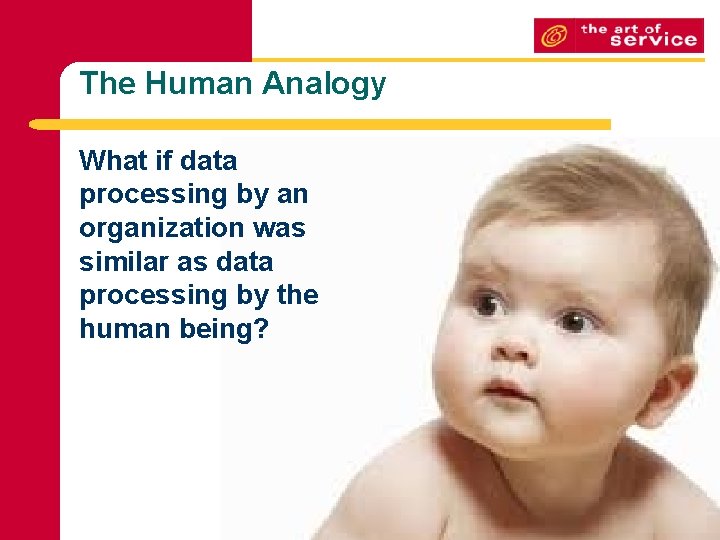 The Human Analogy What if data processing by an organization was similar as data