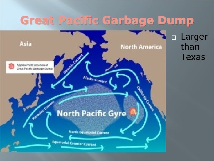 Great Pacific Garbage Dump Larger than Texas 