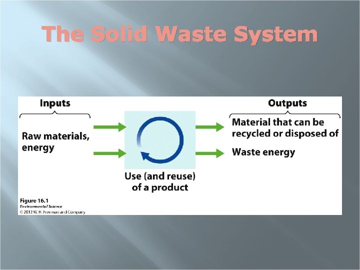 The Solid Waste System 