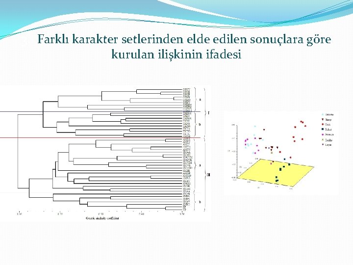 3. Farklı karakter setlerinden elde edilen sonuçlara göre kurulan ilişkinin ifadesi 