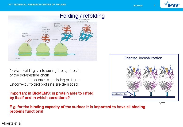 25/05/2021 5 Folding / refolding In vivo: Folding starts during the synthesis of the