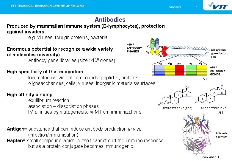 7 25/05/2021 Antibodies Produced by mammalian immune system (B-lymphocytes), protection against invaders e. g.