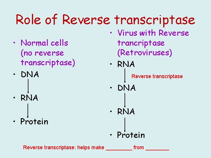 Role of Reverse transcriptase • Normal cells (no reverse transcriptase) • DNA • RNA