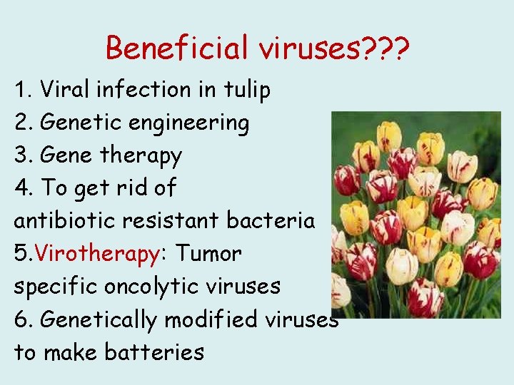 Beneficial viruses? ? ? 1. Viral infection in tulip 2. Genetic engineering 3. Gene