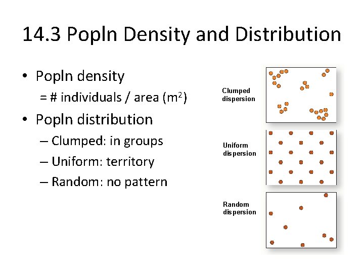 14. 3 Popln Density and Distribution • Popln density = # individuals / area