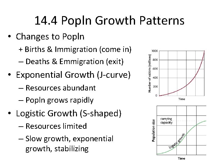 14. 4 Popln Growth Patterns • Changes to Popln + Births & Immigration (come
