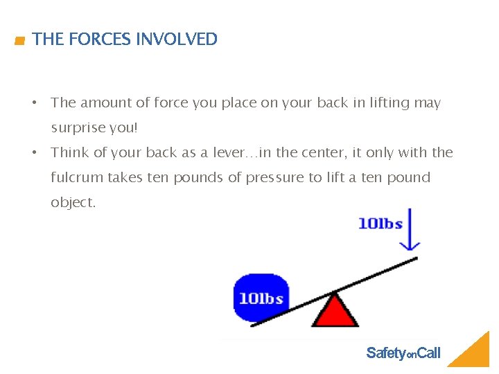 THE FORCES INVOLVED • The amount of force you place on your back in