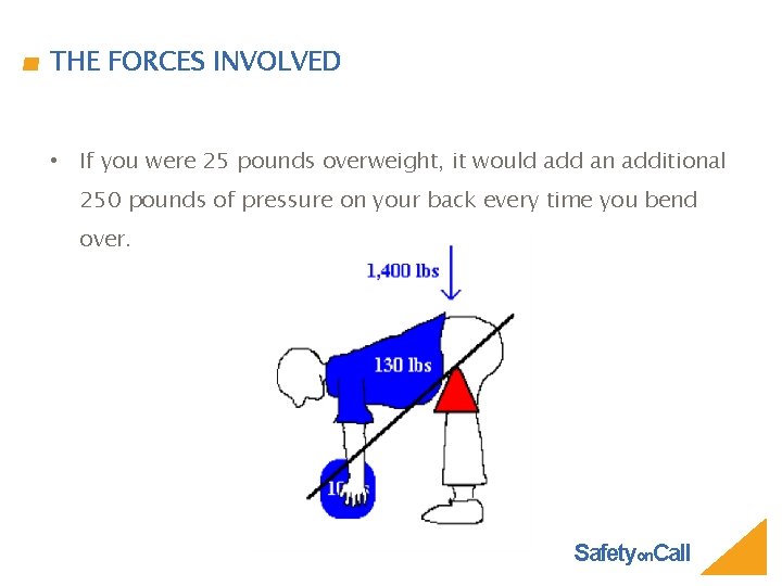 THE FORCES INVOLVED • If you were 25 pounds overweight, it would add an