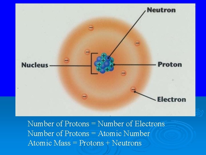 Number of Protons = Number of Electrons Number of Protons = Atomic Number Atomic
