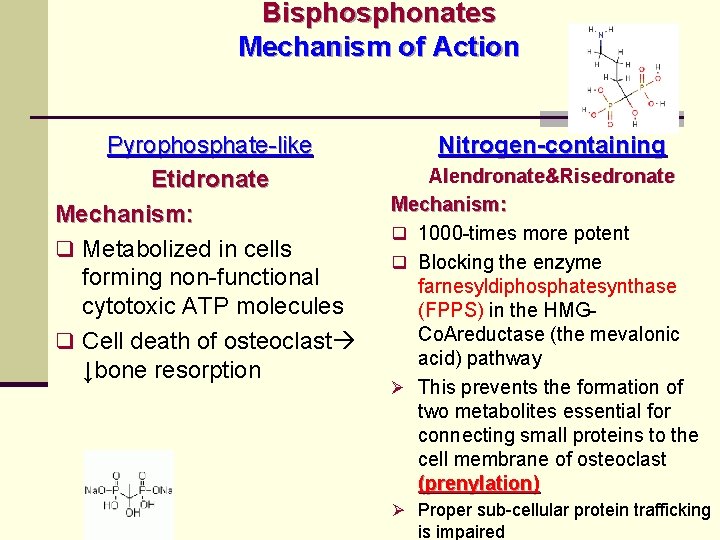 Bisphonates Mechanism of Action Pyrophosphate-like Etidronate Mechanism: q Metabolized in cells forming non-functional cytotoxic