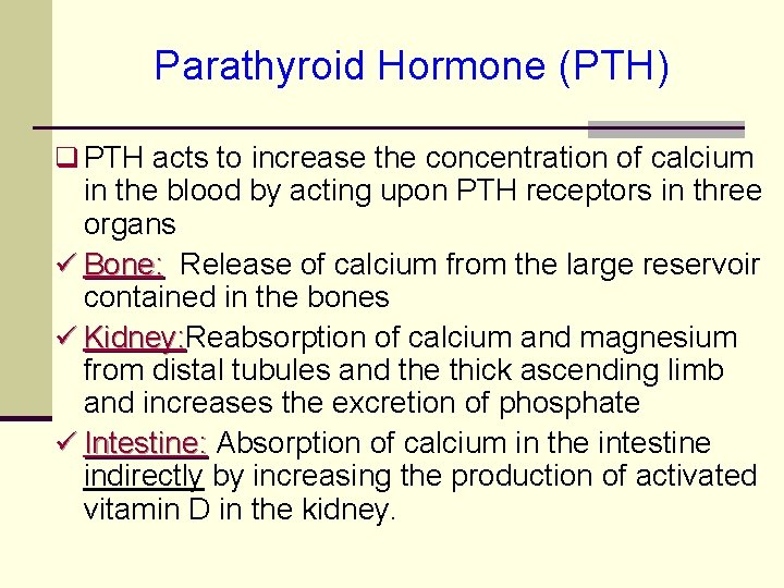 Parathyroid Hormone (PTH) q PTH acts to increase the concentration of calcium in the