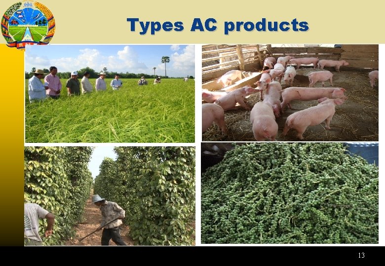 Types AC products 13 