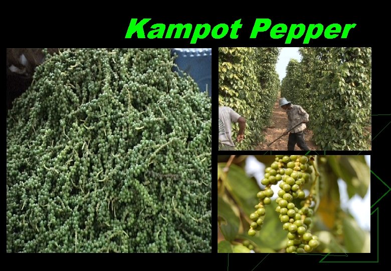 Kampot Pepper 