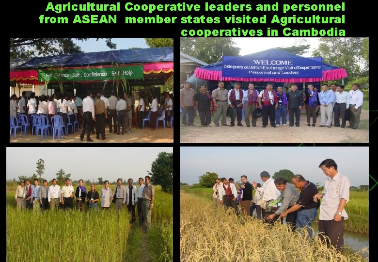 Agricultural Cooperative leaders and personnel from ASEAN member states visited Agricultural cooperatives in Cambodia