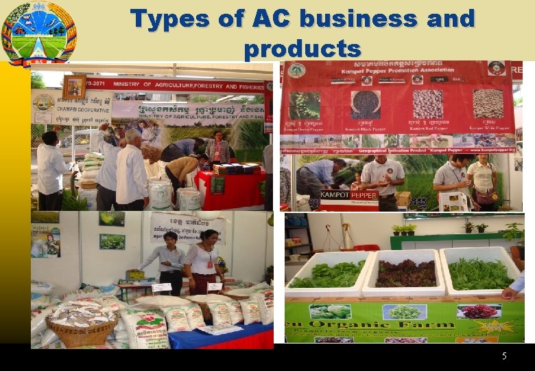 Types of AC business and products 5 