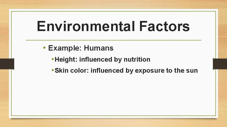 Environmental Factors • Example: Humans • Height: influenced by nutrition • Skin color: influenced