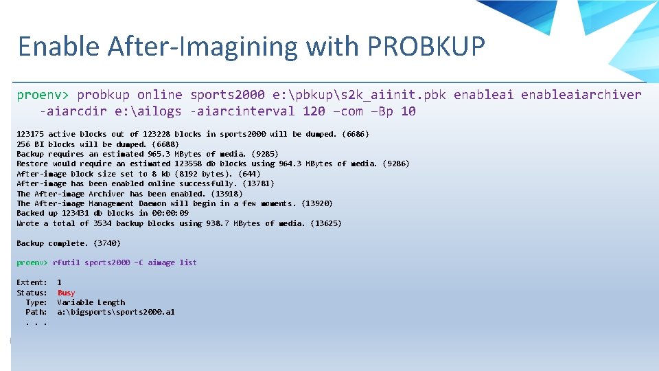 Enable After-Imagining with PROBKUP proenv> probkup online sports 2000 e: pbkups 2 k_aiinit. pbk