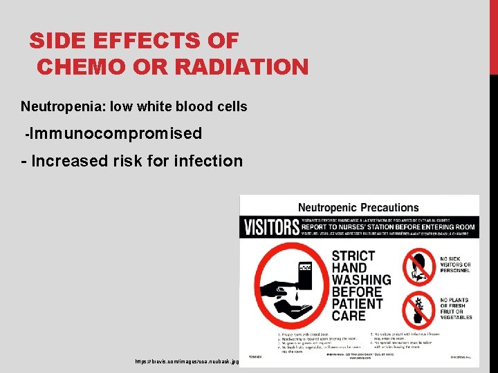 SIDE EFFECTS OF CHEMO OR RADIATION Neutropenia: low white blood cells -Immunocompromised - Increased