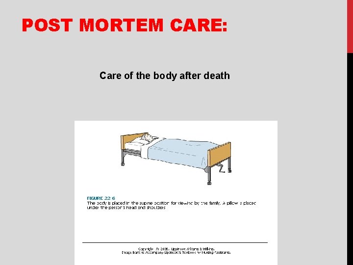 POST MORTEM CARE: Care of the body after death 