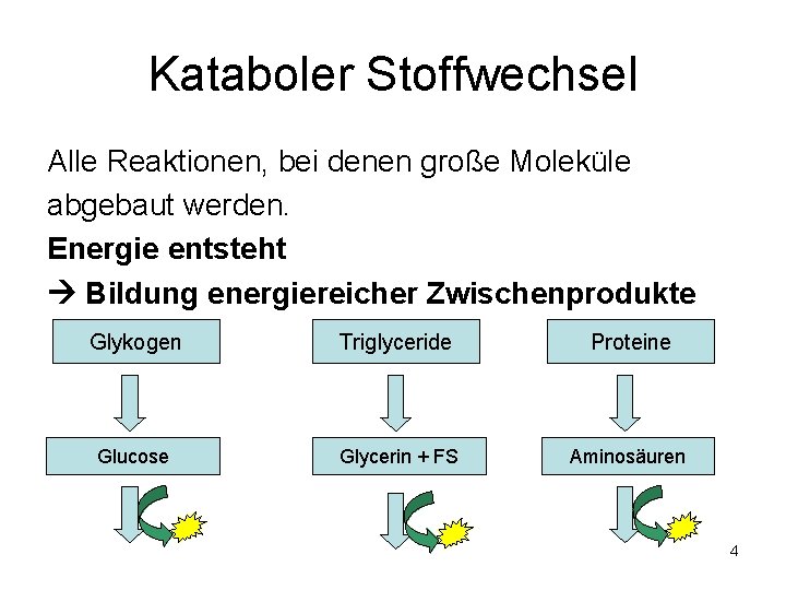 Kataboler Stoffwechsel Alle Reaktionen, bei denen große Moleküle abgebaut werden. Energie entsteht Bildung energiereicher