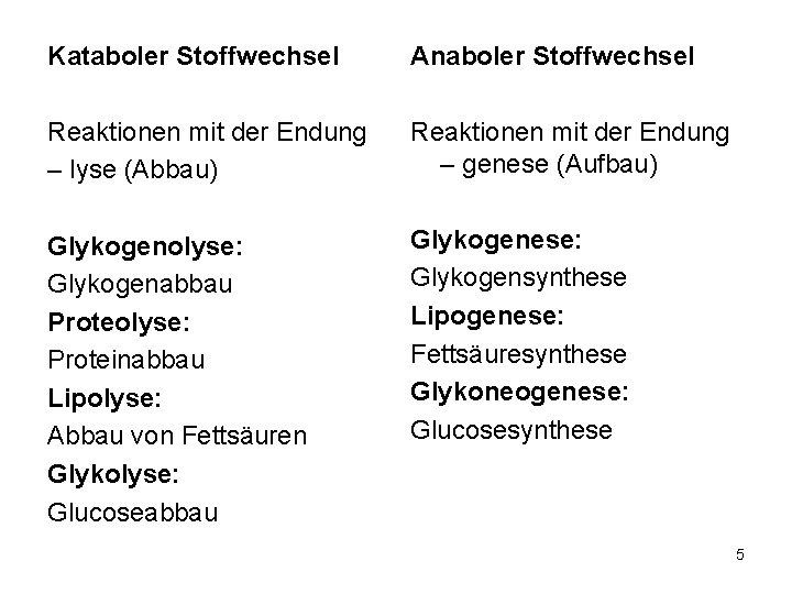 Kataboler Stoffwechsel Anaboler Stoffwechsel Reaktionen mit der Endung – lyse (Abbau) Reaktionen mit der