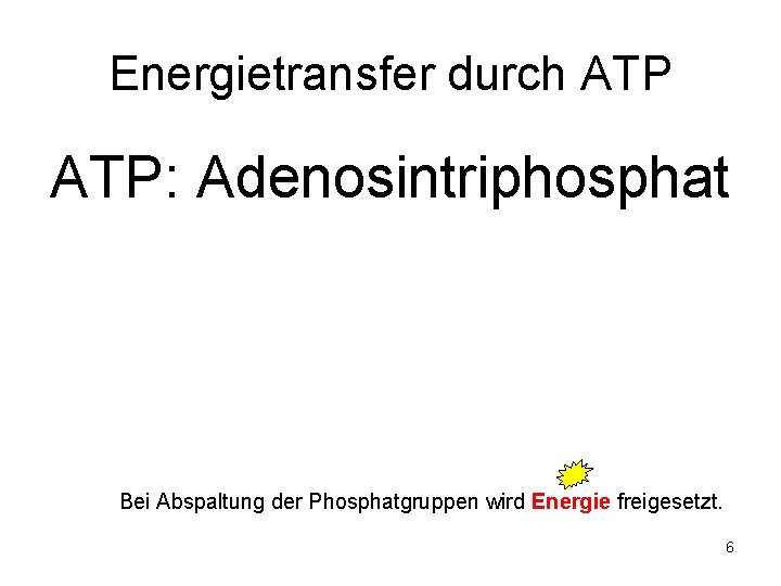 Energietransfer durch ATP: Adenosintriphosphat Bei Abspaltung der Phosphatgruppen wird Energie freigesetzt. 6 