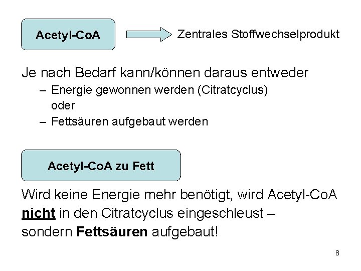 Acetyl-Co. A Zentrales Stoffwechselprodukt Je nach Bedarf kann/können daraus entweder – Energie gewonnen werden