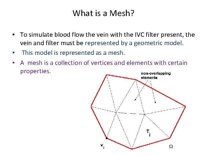 What is a Mesh? • To simulate blood flow the vein with the IVC
