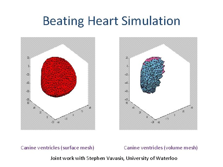 Beating Heart Simulation Canine ventricles (surface mesh) Canine ventricles (volume mesh) Joint work with