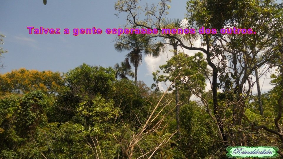 Talvez a gente esperasse menos dos outros. 