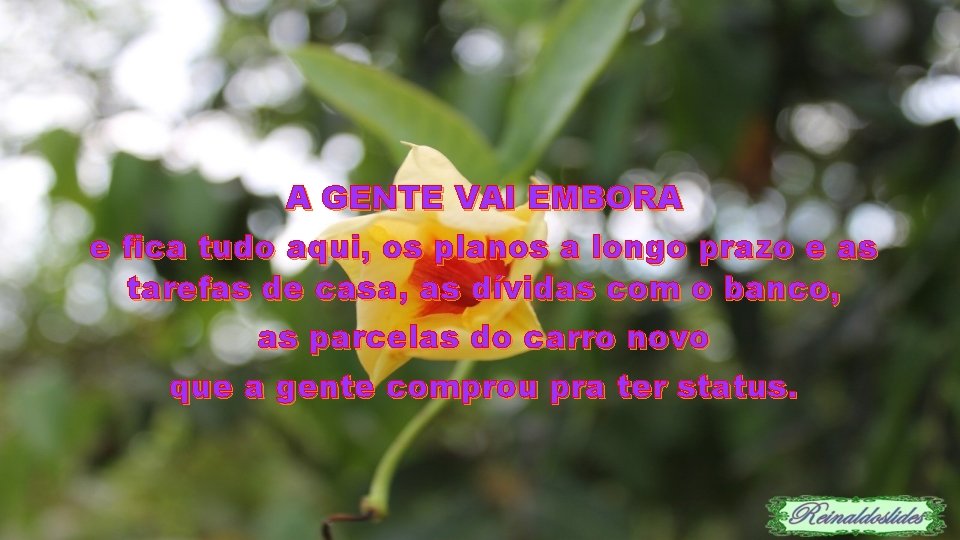 A GENTE VAI EMBORA e fica tudo aqui, os planos a longo prazo e