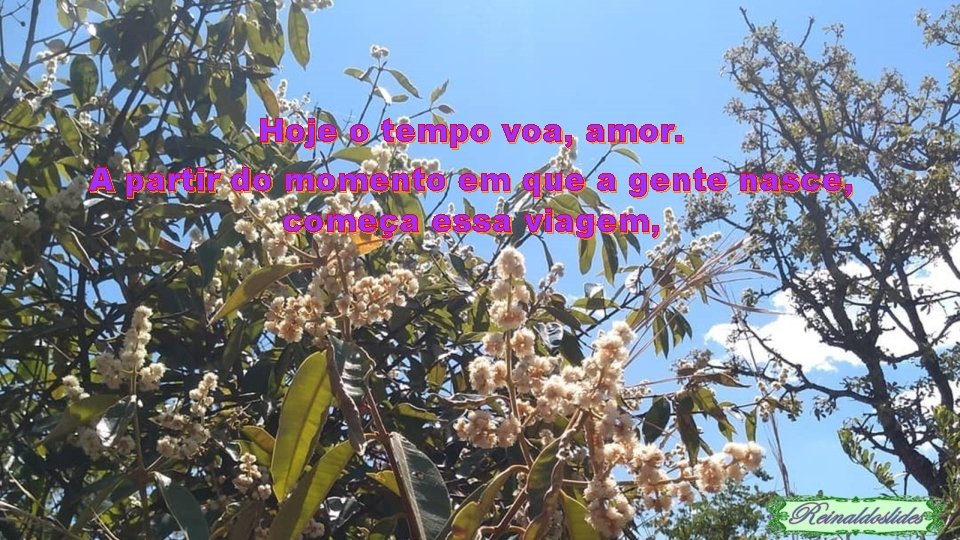 Hoje o tempo voa, amor. A partir do momento em que a gente nasce,