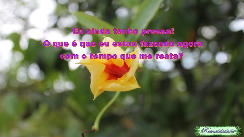 Eu ainda tenho pressa! O que é que eu estou fazendo agora com o