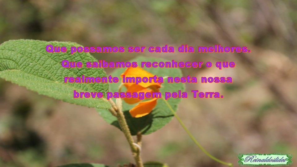 Que possamos ser cada dia melhores. Que saibamos reconhecer o que realmente importa nesta