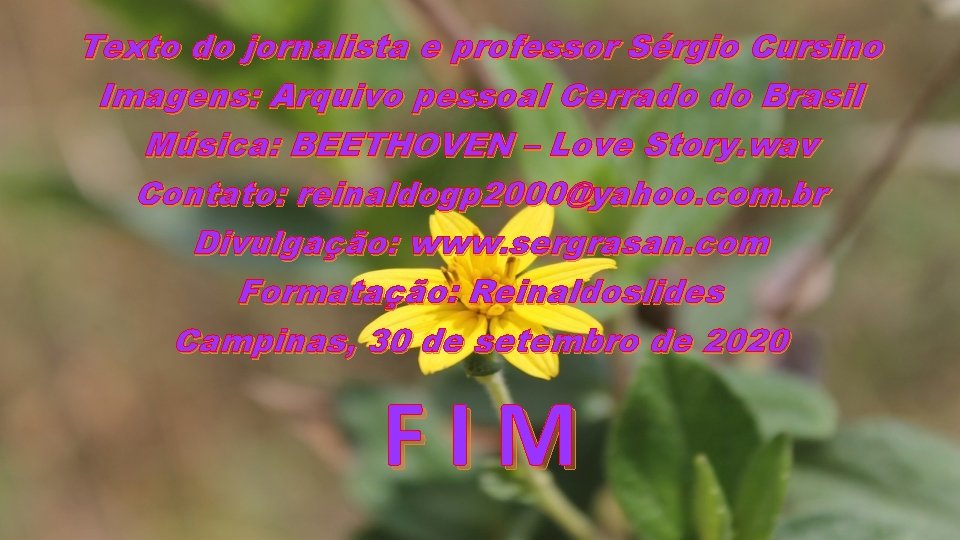 Texto do jornalista e professor Sérgio Cursino Imagens: Arquivo pessoal Cerrado do Brasil Música: