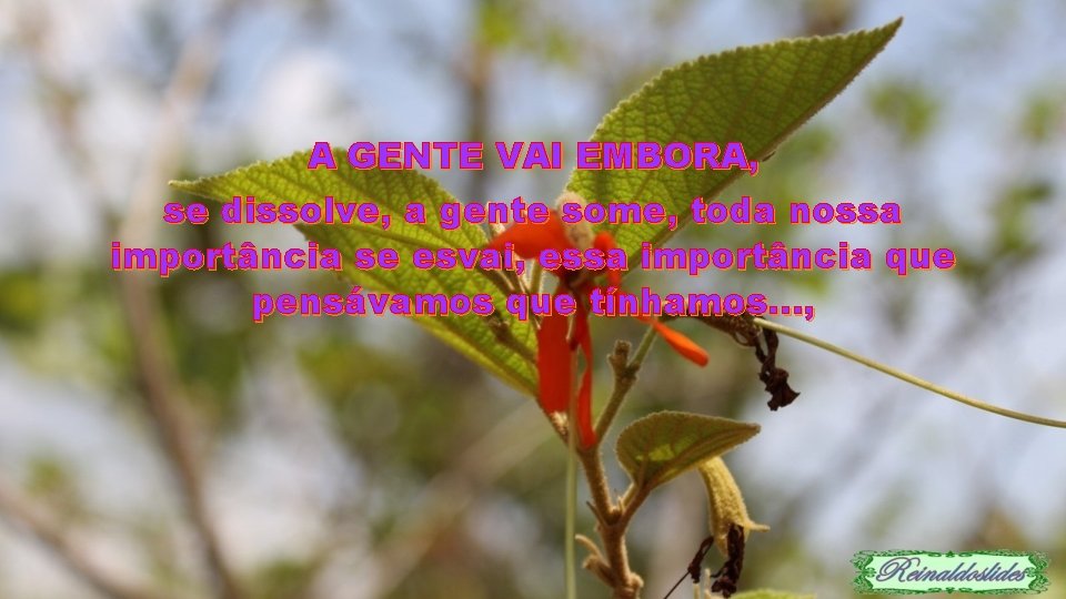 A GENTE VAI EMBORA, se dissolve, a gente some, toda nossa importância se esvai,