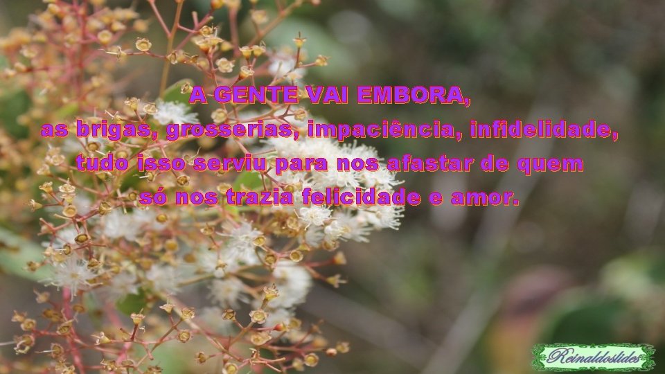 A GENTE VAI EMBORA, as brigas, grosserias, impaciência, infidelidade, tudo isso serviu para nos