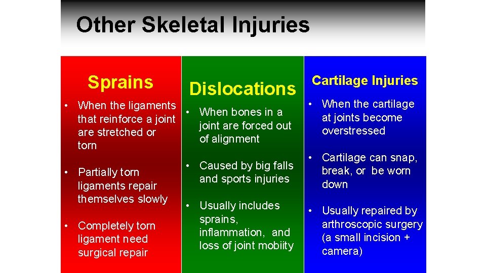 Other Skeletal Injuries Sprains Dislocations • When the ligaments • When bones in a