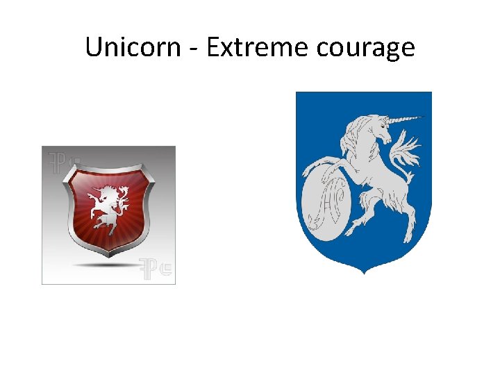 Unicorn - Extreme courage 